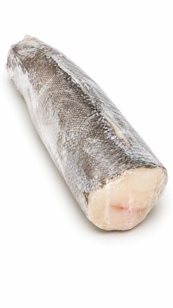 PESCADA Nº5 INT. AUSTRAL CHIL ENV.
