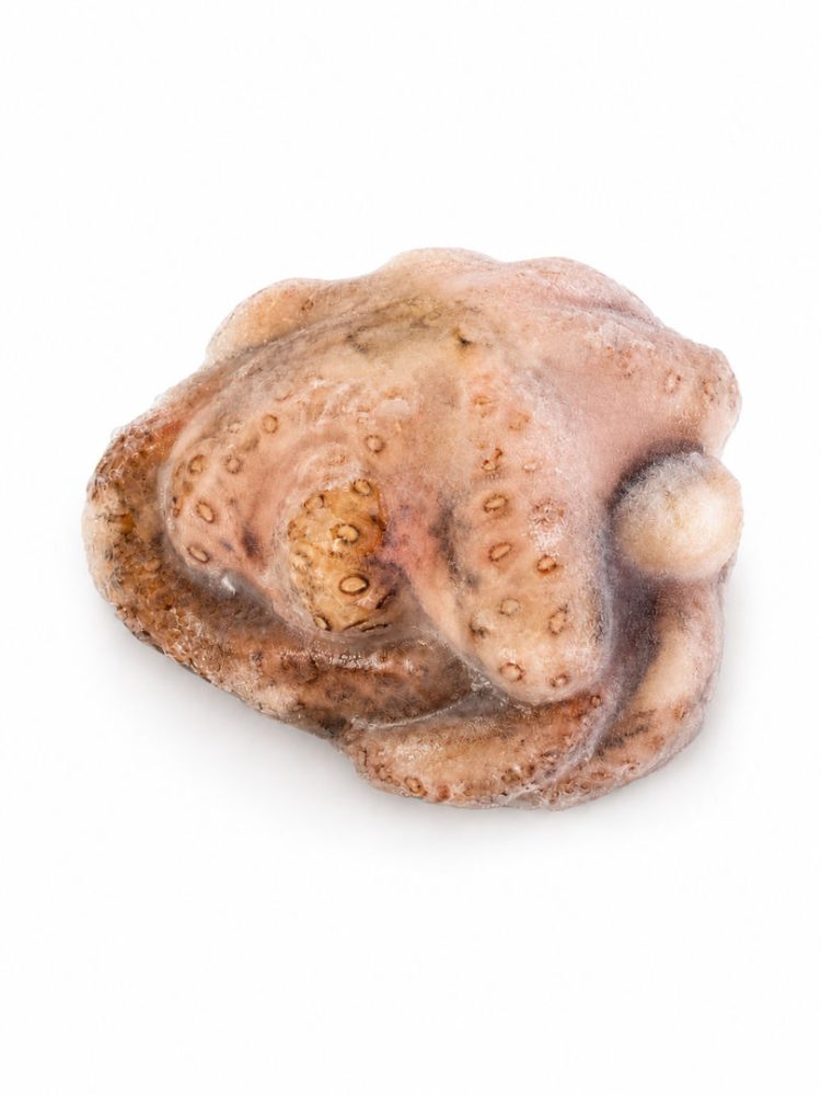 POLVO 300/500GR FLOR INT. QUENIA E/I CX:+-12KG