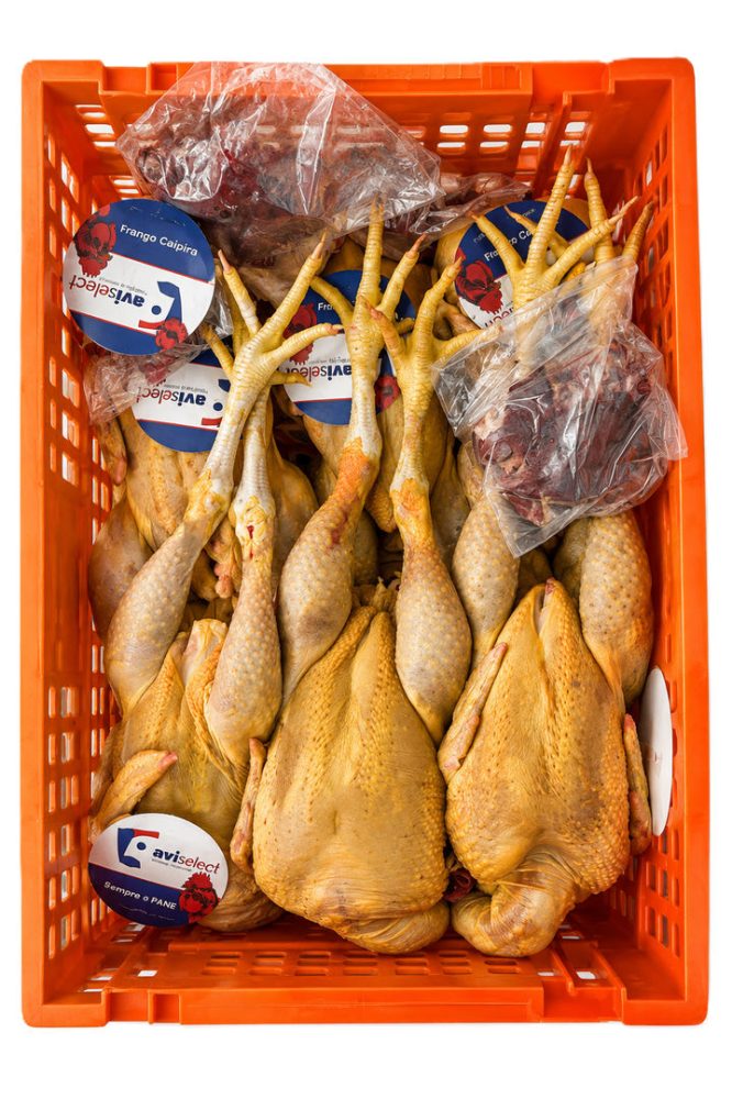 FRANGO FRESCO T/CAS. C/M E SANGUE GRANEL CX.6UN