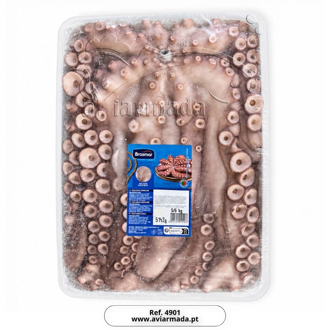 POLVO 5/6 KG MARROCOS (cx:2un) - BRASMAR
