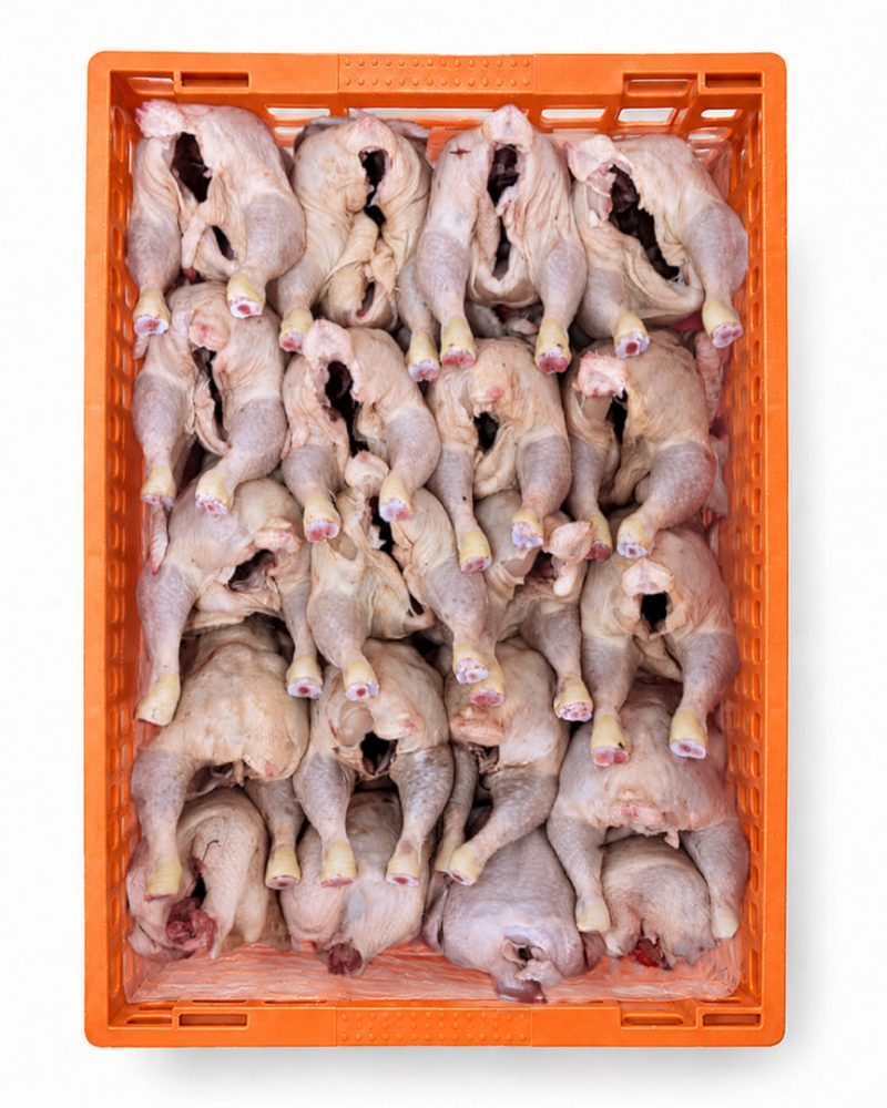 FRANGO FRESCO 700/800GR S/P CX:20 UN