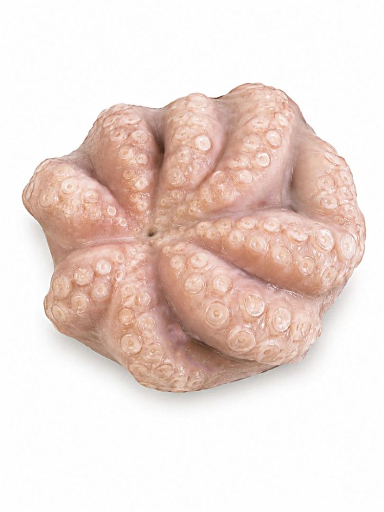 POLVO VIRGEM MRC -1KG FLOR C/ETQ. 1X1/CX: 10UN - MOYSEAF