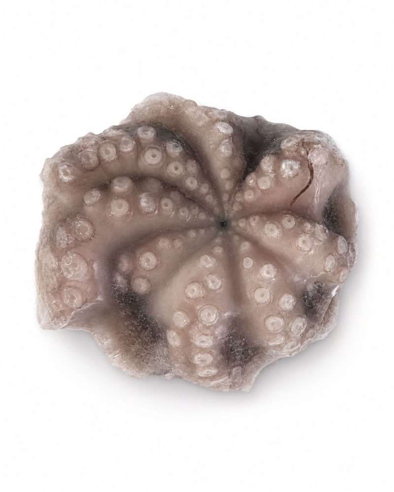 POLVO VIRGEM MRC 1.0/1.5KG FLOR C/ETQ. 1X1/CX: 8UN - MOYSE