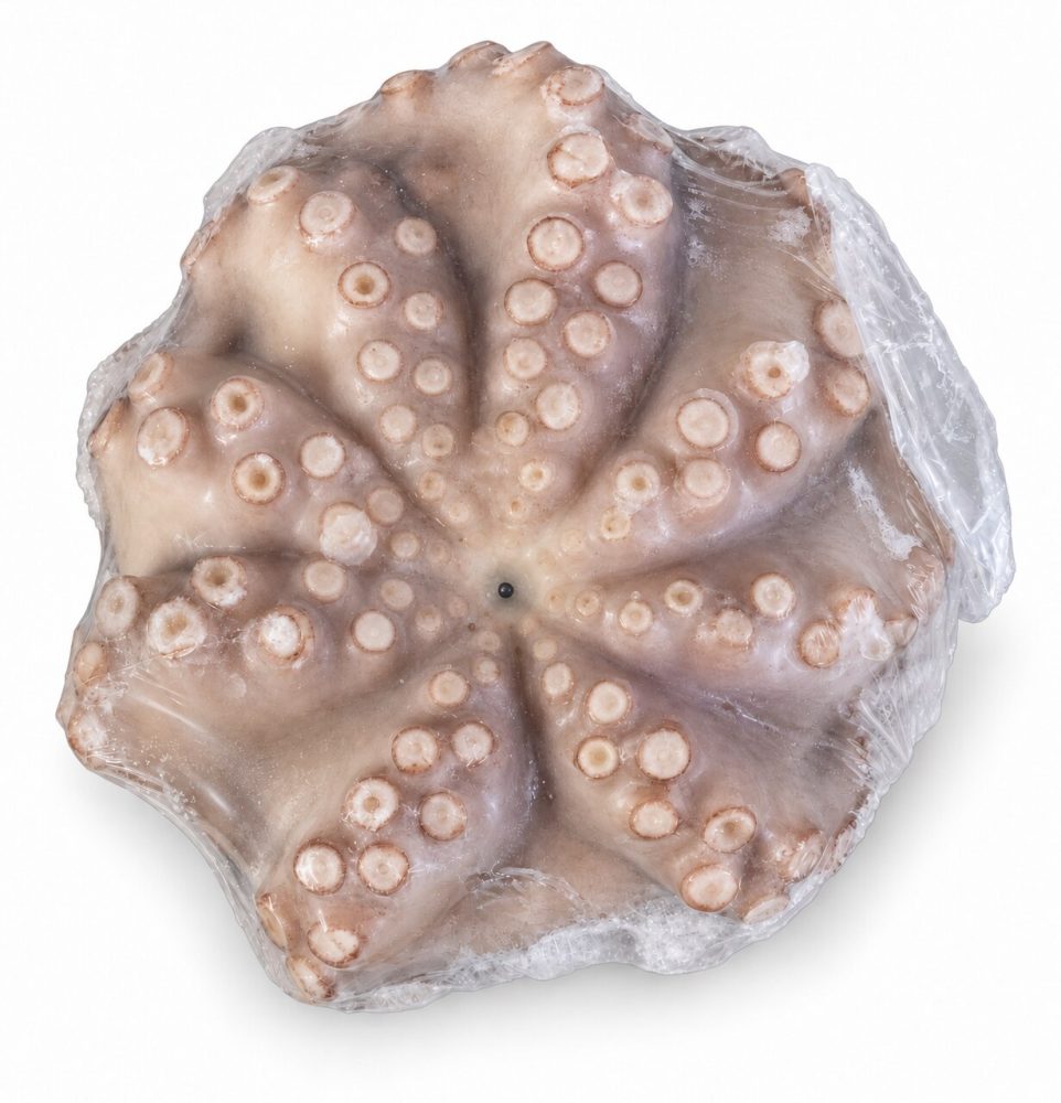 POLVO VIRGEM MRC 4/5 KG FLOR  C/ETQ. 1X1/CX: 2UN - MOYSEAF